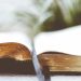 About Us – English