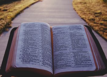 DIVINE WISDOM