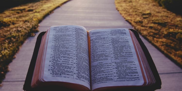 DIVINE WISDOM