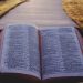 DIVINE WISDOM